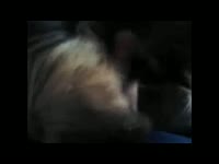 Double lickjob and cum